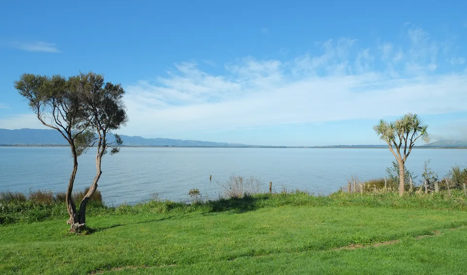 Lake Wairarapa from the Lake Shore Scenic Reserve, framed by native trees